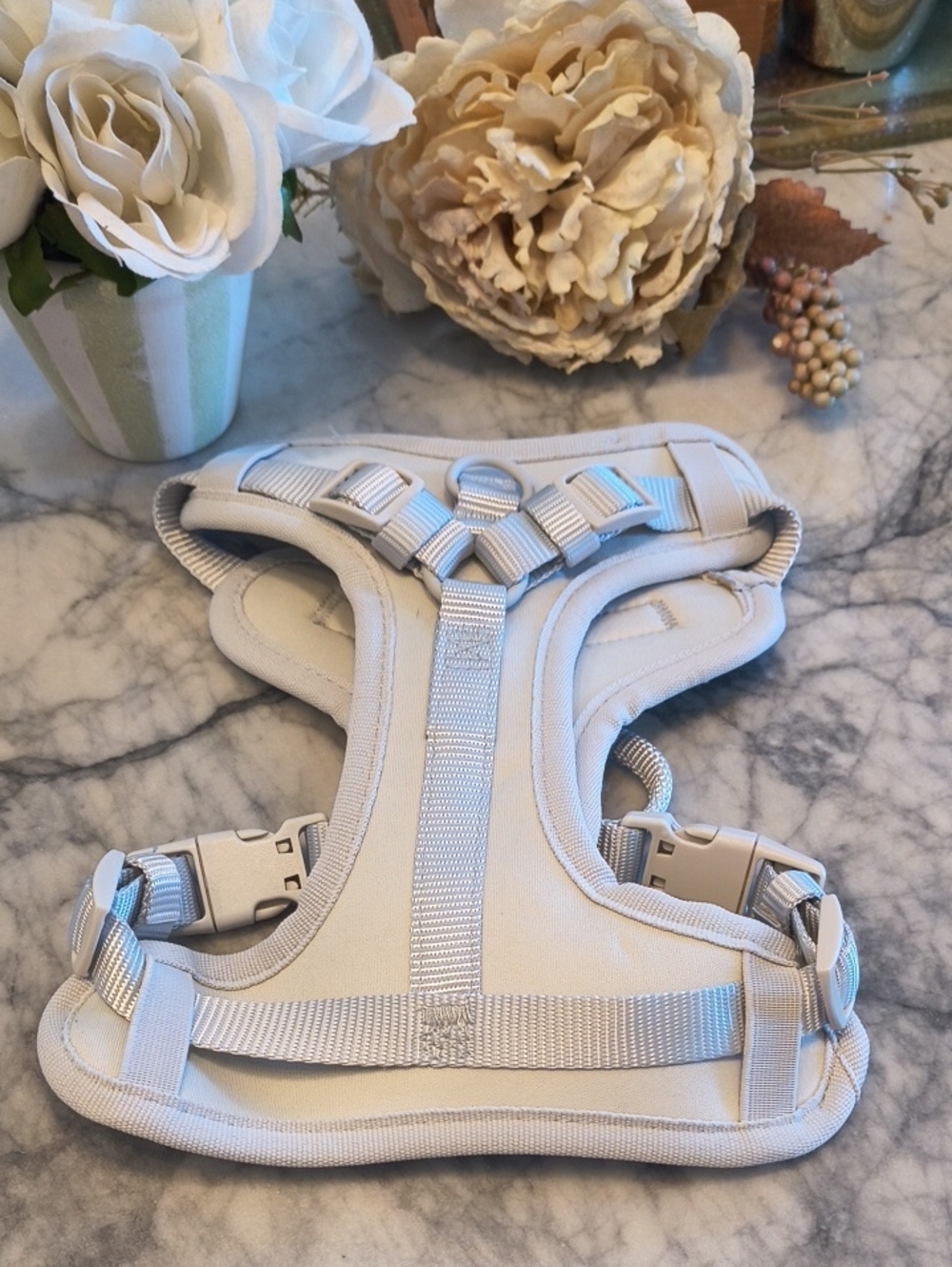 ComfortFit Padded White No-Pull Dog Harness